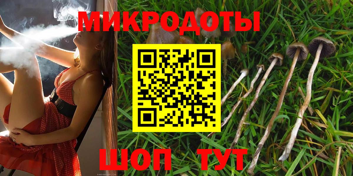 Галлюциногенные грибы Magic Shrooms Сухой Лог