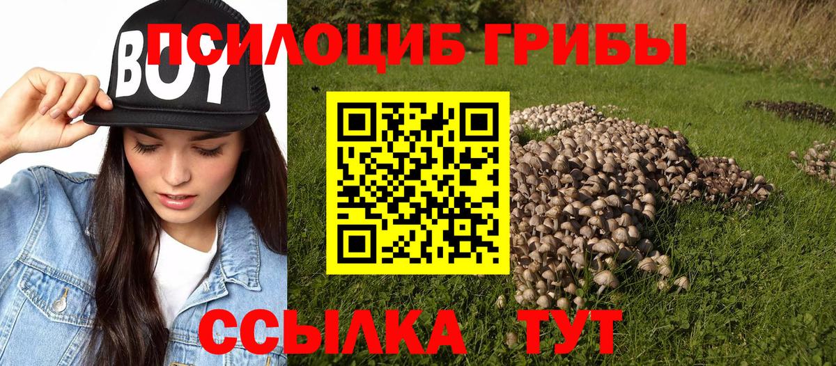Сухой Лог  Галлюциногенные грибы GOLDEN TEACHER  Вход с VPN 